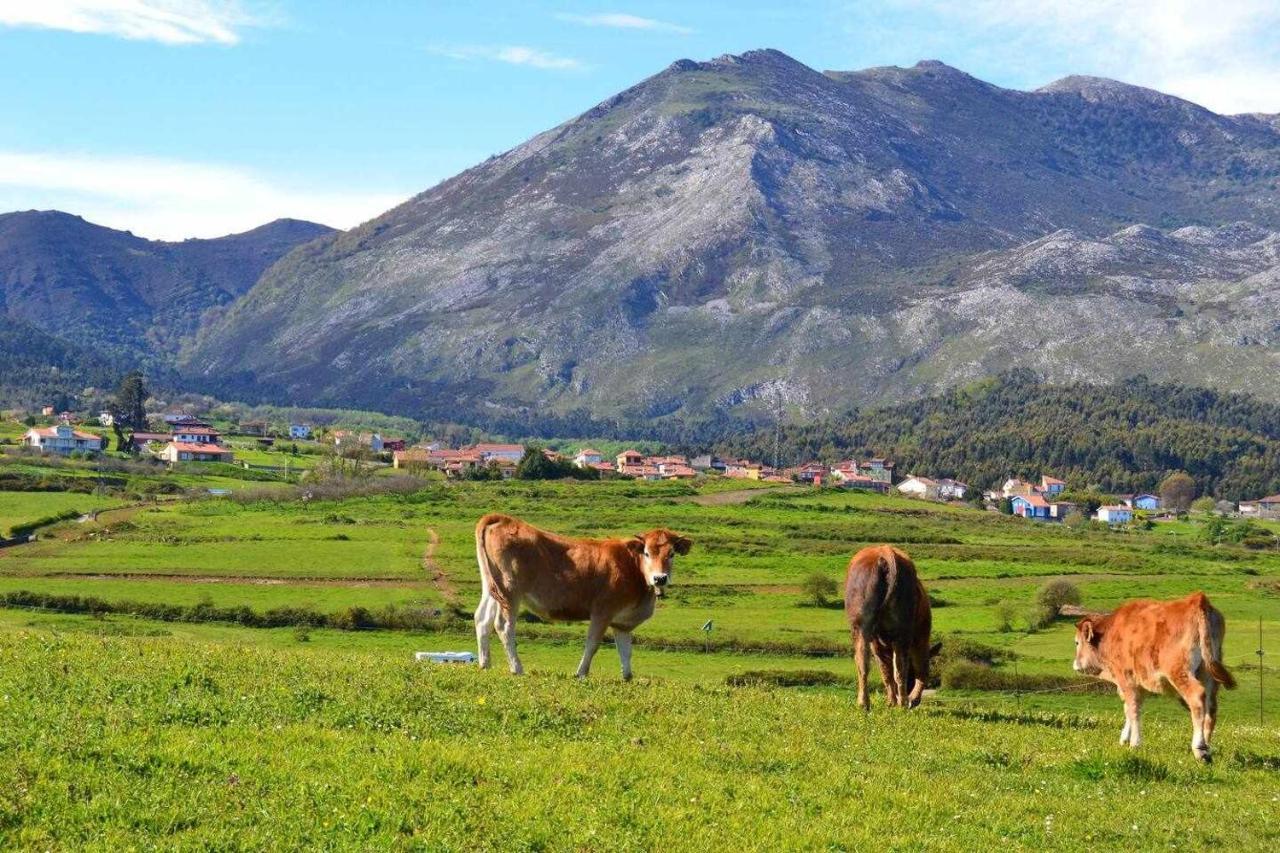 Rincon Con Piscina En Picos De Europa Appartement Onís Buitenkant foto